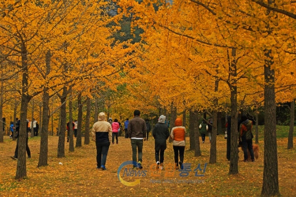 강원도 홍천은 지금, 가을과 겨울에 중간에 있다. / 사진 : 정강주 기자