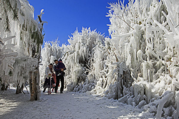 인제빙어축제에 가족단위 관광객들이 참가해 아름다운 풍경을 만긱하고 있다. [사진 : 정강주 취재팀장]