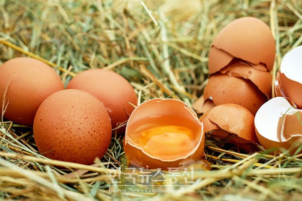 남인순 의원이 16일 살충제 계란사태 정보 국민께 소상히 공개해야된다고 밝혔다.
