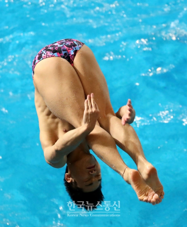사진설명 : 수영(다이빙) 1m스프링보드 김영남 선수가 경기를 펼치고 있다.
