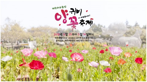 ▲ 제주 허브동산, ‘양귀비꽃 축제’ 개최