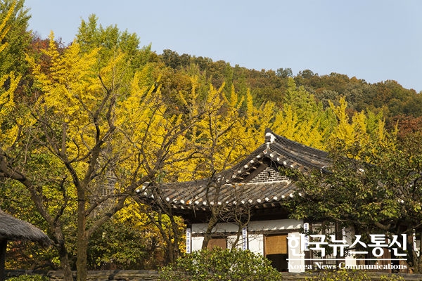 전통문화 테마파크 한국민속촌이 가을시즌 특별축제 ‘낭만조선’을 10월 6일부터 31일까지 진행한다.