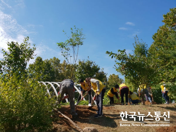 사진 : 자원봉사자들이 서울숲 무지개언덕에 미세먼지 우수 수종인 갈참나무를 심고 있다.