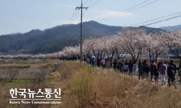 사진 : 제18회 반곡관설동 주민화합 원주천 벚꽃길 걷기대회