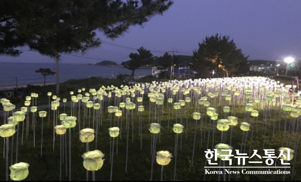 사진 : LED 장미정원