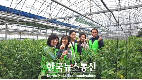 사진:영월군청소년문화의집(관장 김진석)은 지난 5월 20일, 주천의 한 농장을 방문하여 일손 돕기 자원봉사 활동 진행