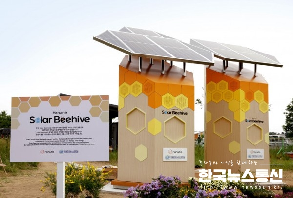 사진 : 한화그룹이 세계 꿀벌의 날을 맞아 탄소저감벌집 솔라비하이브를 공개했다.